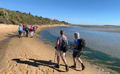 169: IMG_0485<br>  2019-01-25