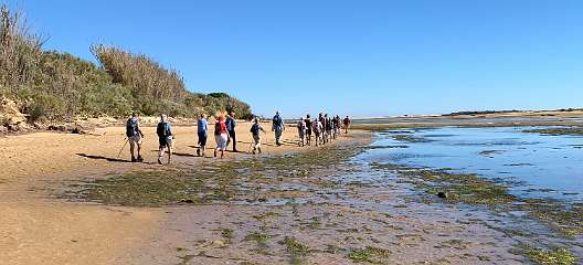 170: IMG_0486<br>  2019-01-25