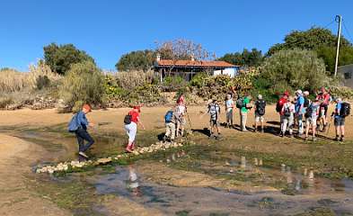 171: IMG_0487<br>  2019-01-25