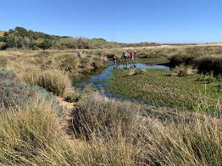 172: IMG_0488<br>  2019-01-25