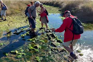 173: IMG_0489<br>  2019-01-25