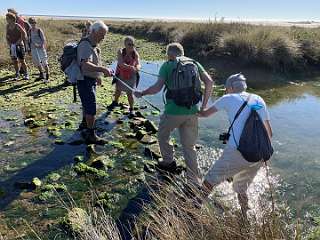 174: IMG_0490<br>  2019-01-25