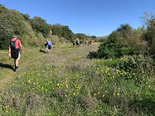 175: IMG_0492<br>  2019-01-25