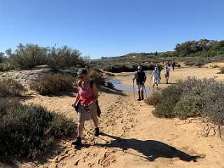 176: IMG_0494<br>  2019-01-25