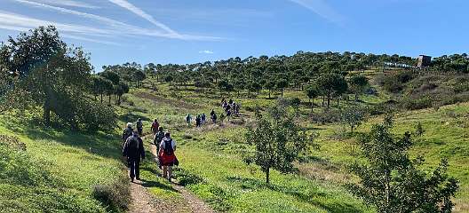 182: IMG_0505<br>  2019-01-28