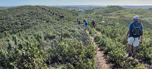 183: IMG_0507<br>  2019-01-28