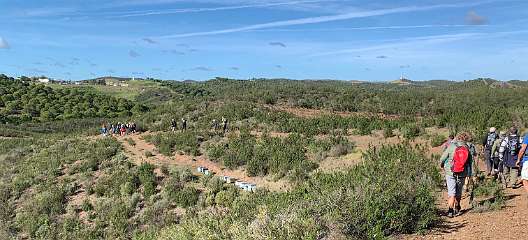 185: IMG_0512<br>  2019-01-28