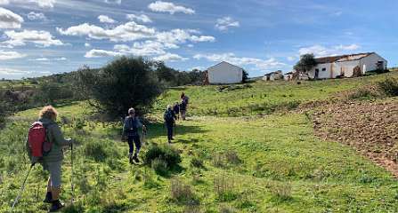 188: IMG_0515<br>  2019-01-28