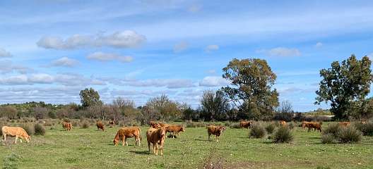 191: IMG_0519<br>  2019-01-28