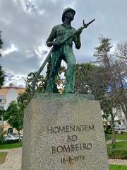 192: IMG_0522<br>  2019-01-29