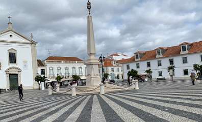 193: IMG_0525<br>  2019-01-29