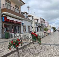 194: IMG_0526<br>  2019-01-29