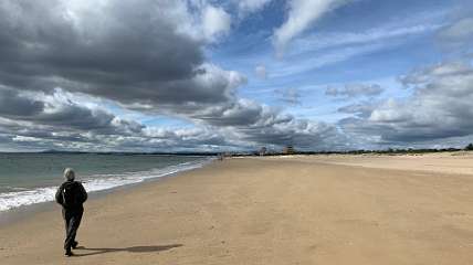 195: IMG_0530<br>  2019-01-29