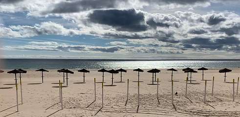 196: IMG_0531<br>  2019-01-29