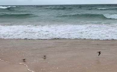 197: IMG_0534<br>  2019-01-31