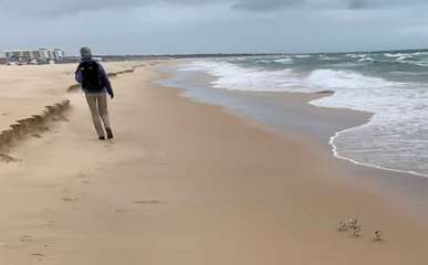 198: IMG_0535<br>  2019-01-31