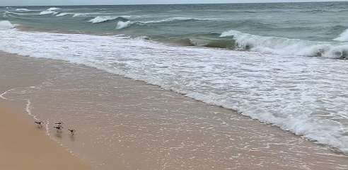 199: IMG_0536<br>  2019-01-31