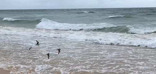 200: IMG_0537<br>  2019-01-31