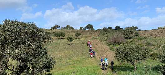 203: IMG_0544<br>  2019-02-01