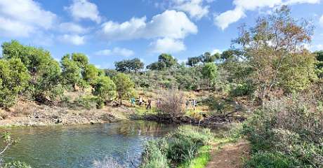 204: IMG_0547<br>  2019-02-01