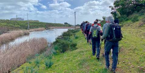 207: IMG_0552<br>  2019-02-01