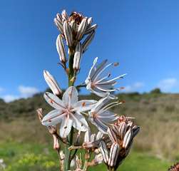 208: IMG_0555<br>  2019-02-01