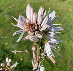 209: IMG_0557<br>  2019-02-01