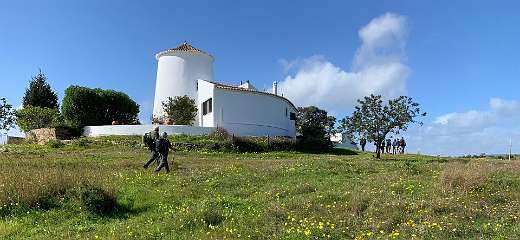 210: IMG_0558<br>  2019-02-01