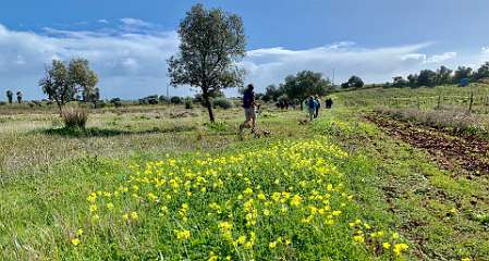 211: IMG_0561<br>  2019-02-01