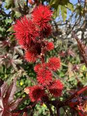 213: IMG_0564<br>  2019-02-01