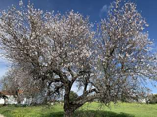 214: IMG_0565<br>  2019-02-01