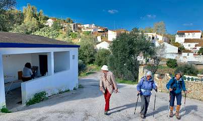 215: IMG_0566<br>  2019-02-02