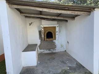 216: IMG_0567<br>  2019-02-02