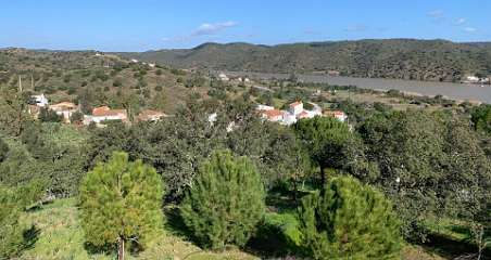 217: IMG_0569<br>  2019-02-02