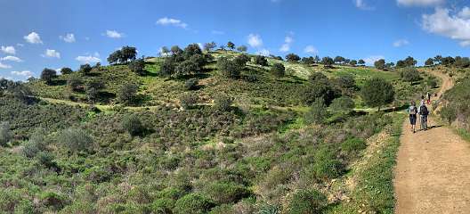 219: IMG_0573<br>  2019-02-02