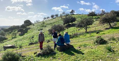 220: IMG_0574<br>  2019-02-02