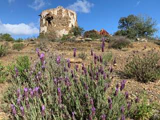 221: IMG_0576<br>  2019-02-02