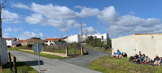 223: IMG_0579<br>  2019-02-02