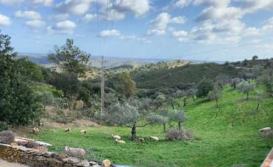 227: IMG_0585<br>  2019-02-02