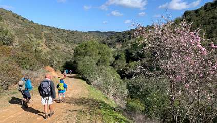 228: IMG_0588<br>  2019-02-02