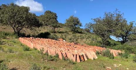 232: IMG_0600<br>  2019-02-02