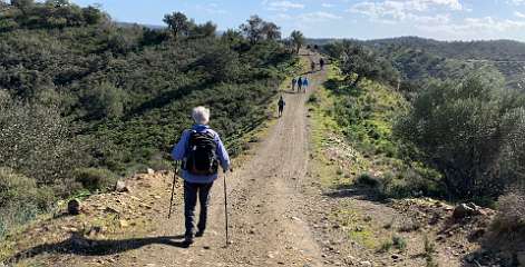 233: IMG_0601<br>  2019-02-02