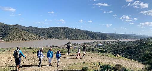 234: IMG_0603<br>  2019-02-02