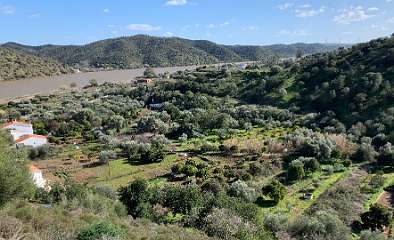 236: IMG_0605<br>  2019-02-02