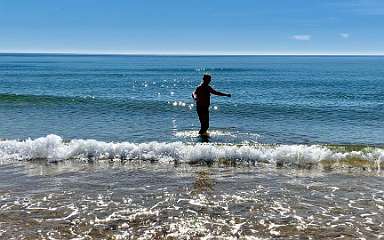 239: IMG_0617<br>  2019-02-05