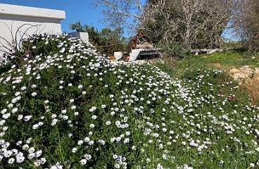 241: IMG_0630<br>  2019-02-08