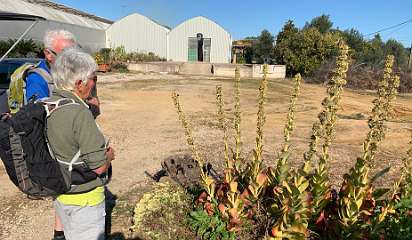 242: IMG_0631<br>  2019-02-08