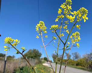 243: IMG_0632<br>  2019-02-08