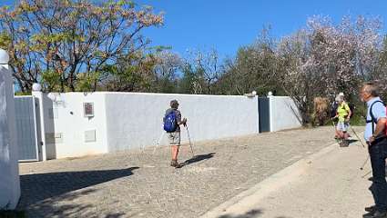 244: IMG_0633<br>  2019-02-08