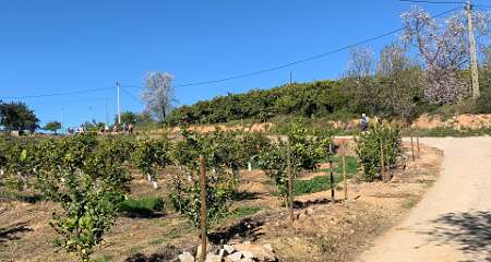 245: IMG_0638<br>  2019-02-08